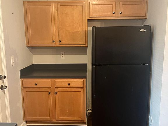 Fridge and back door