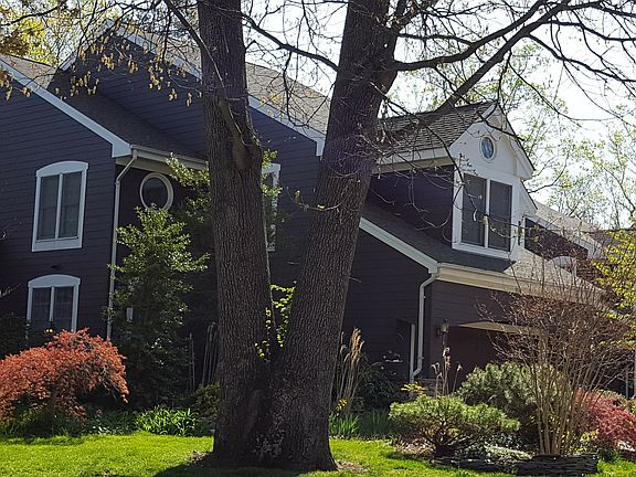 3rd image of 114 Summer Village Dr