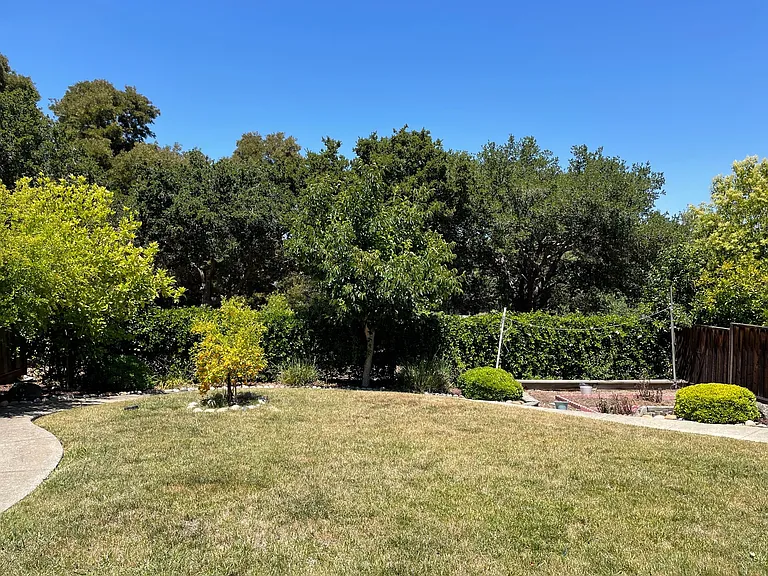 2885 Alice Ct — Photo 22