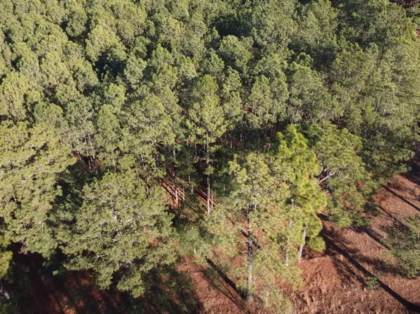 461 Docs Rd Lot 2, Lillington, NC 27546