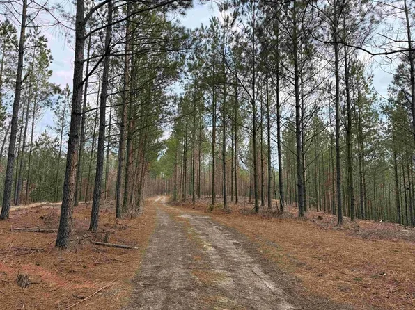 State Route 613, Farnham, VA 22460