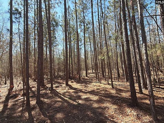 4th image of Bhl 10 Boise Cascade Rd #Bhl-10