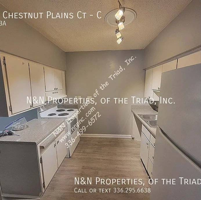1395 Chestnut Plains Ct — Photo 2