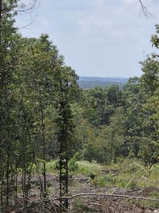 County Raod #3267, Mount Enterprise, TX, 75681