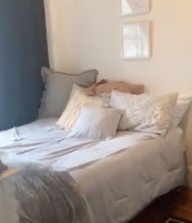 2nd image of 45 Joy St #5
