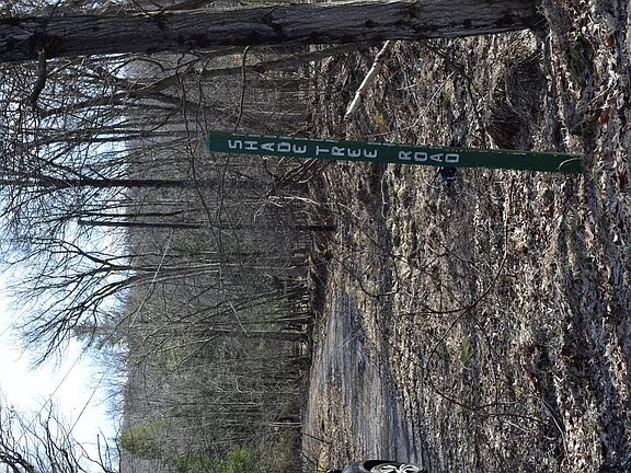 3rd image of Shade Tree Road- Hickory Hls