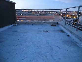 Rented by P Management