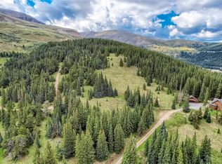 59 Lazy Rex Rd, Alma, CO 80420