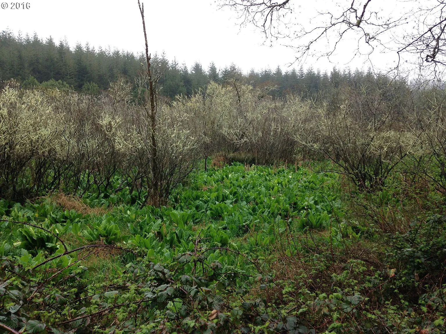 58323 Garden Valley Rd photo 1