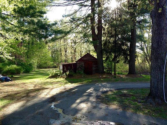 back yard, chicken coop
