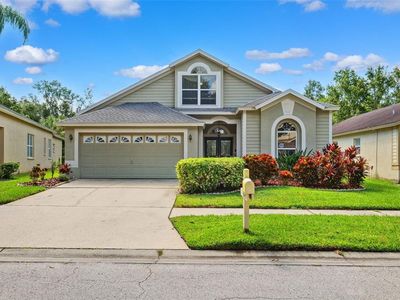 10149 Heather Sound Dr, Tampa, FL, 33647