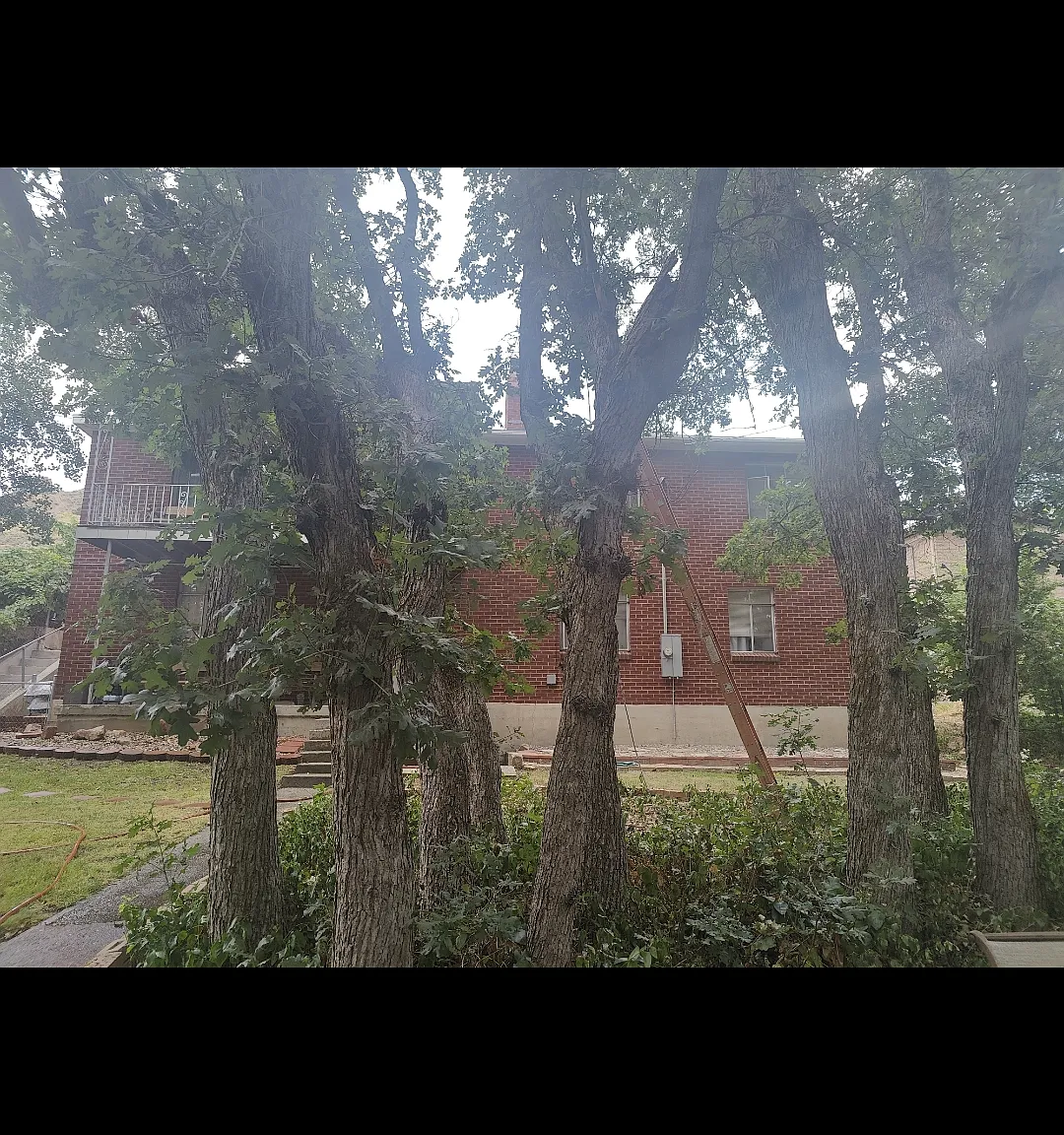 4 bed, $1,000 — Photo 1
