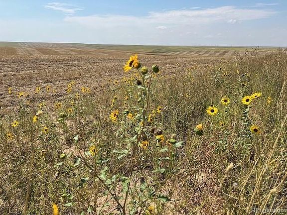 2nd image of TBD County Road 2