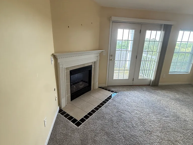 969 Mistflower Ln — Photo 7