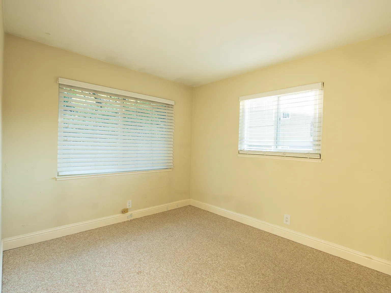2 bed, 950 sqft, $3,000 — Photo 3