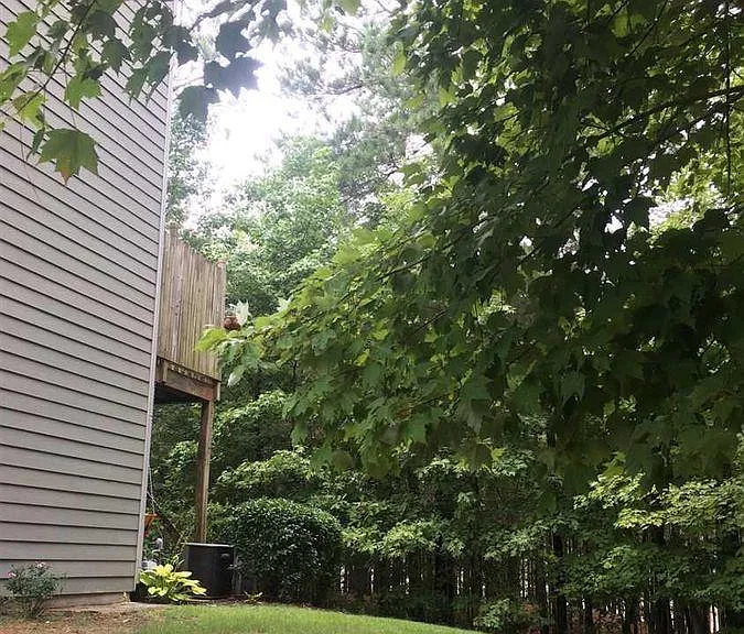 100 High Ramble Ln — Photo 15