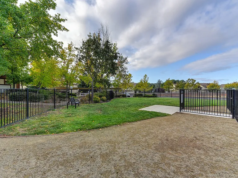 Dog Park