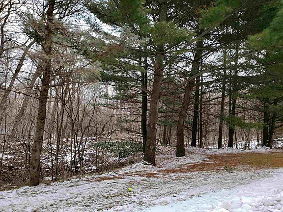2nd image of 19623 Amberwood Dr