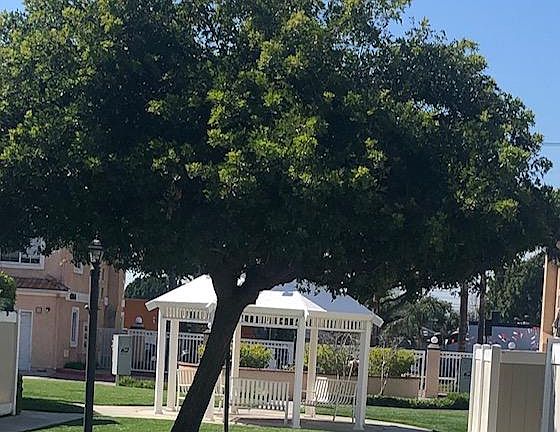 2nd image of 4036 Rosemead Blvd Unit 44