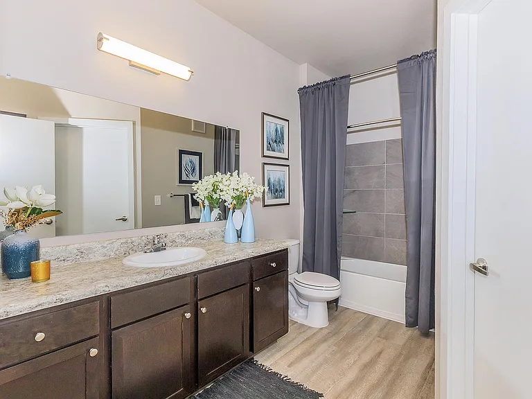Vantage at McKinney Falls B2 Bathroom