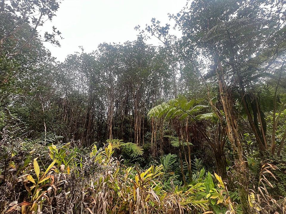 1st image of 18-2013 Road 11 Lot 678