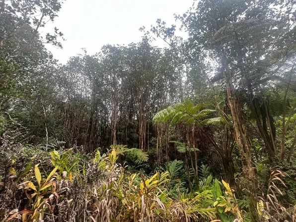 18-2013 Road 11 Lot 678, Volcano, HI 96785