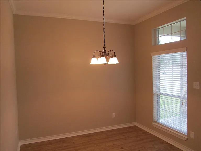 3408 Borden Gully Dr — Photo 4