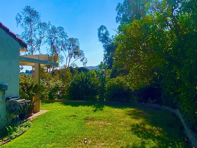 Side lawn