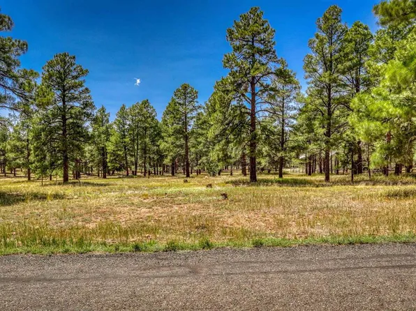 86 Hackamore Place, Pagosa Springs, CO 81147