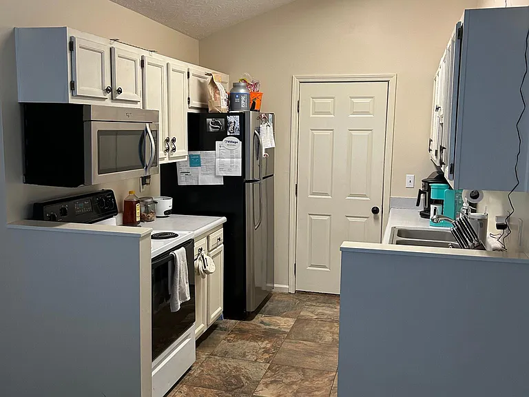 356 Pleasant Pointe Dr — Photo 4