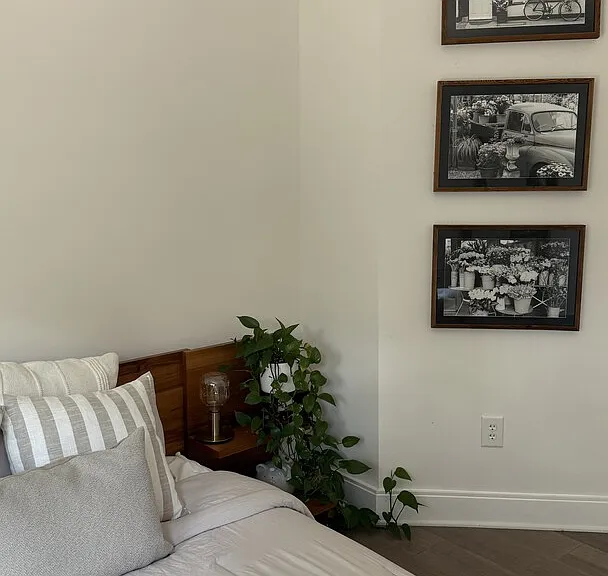 Matisse Ln — Photo 11