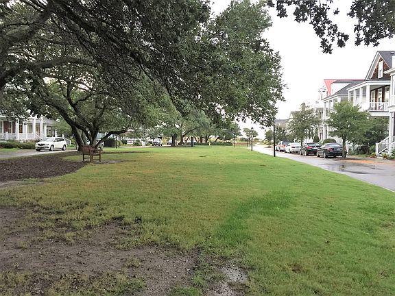 Side oak-lined park view 