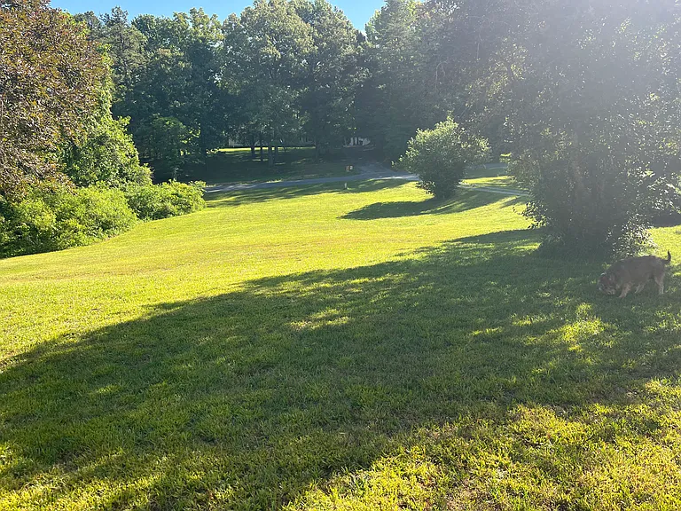 495 Apple Grove Rd — Photo 5