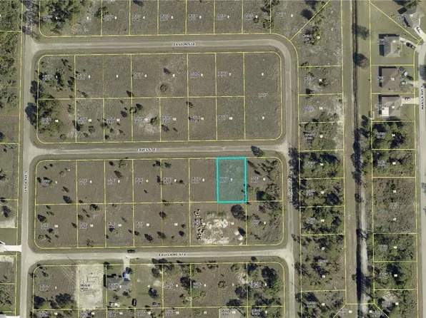 1118 Eaves St E, Lehigh Acres, FL 33974