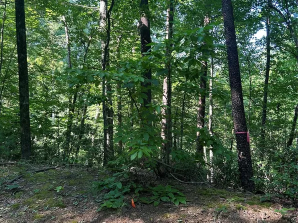 0 Falcons Ave #14, Lake Lure, NC 28746