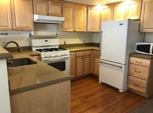 1154 Straight Creek Drive, Dillon, CO 80435