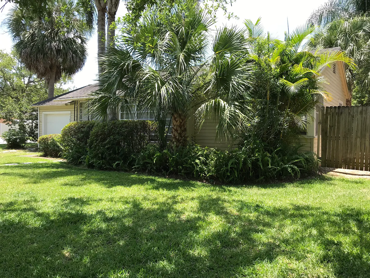1302 W Harvard St — Photo 4