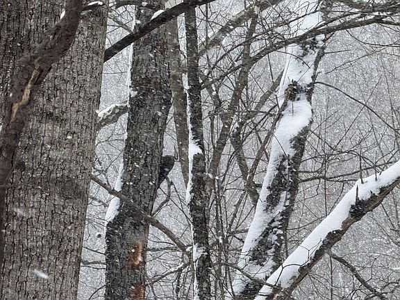 5th image of 435 Old Long Branch Rd