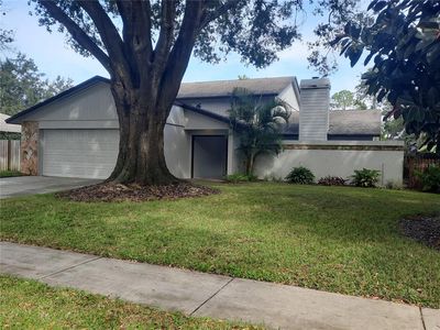 11708 Rolling Oaks Ln, Tampa, FL, 33618