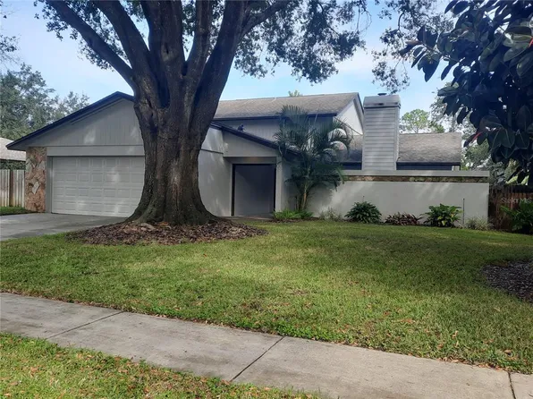 11708 Rolling Oaks Ln, Tampa, FL 33618
