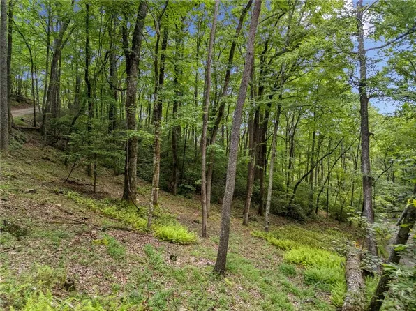 0 Paradise Ln #21, Blue Ridge, GA 30513