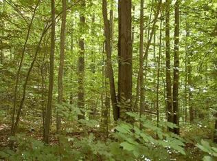 N Dorr Rd, Merritt, MI 49667