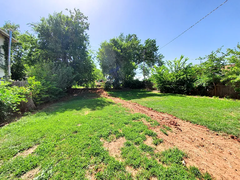 Back yard