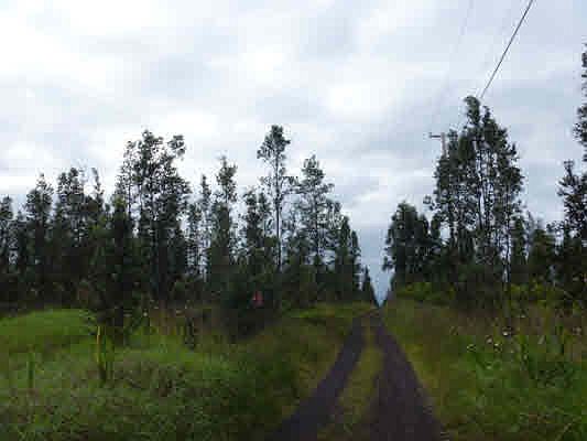 2nd image of Road 9 Koloa Maoli Lot 5396