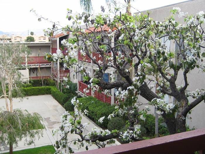 View of Courtyard