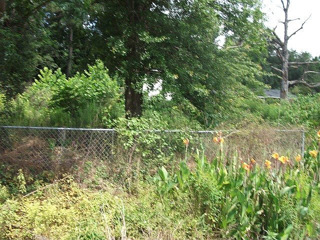 2nd image of Davis Rd