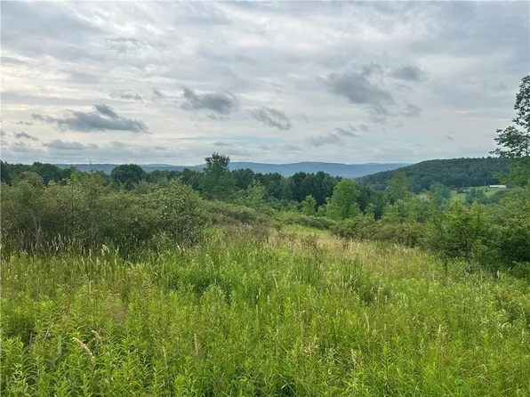 Sisson Hill Rd Lot 8, Unadilla, NY 13849