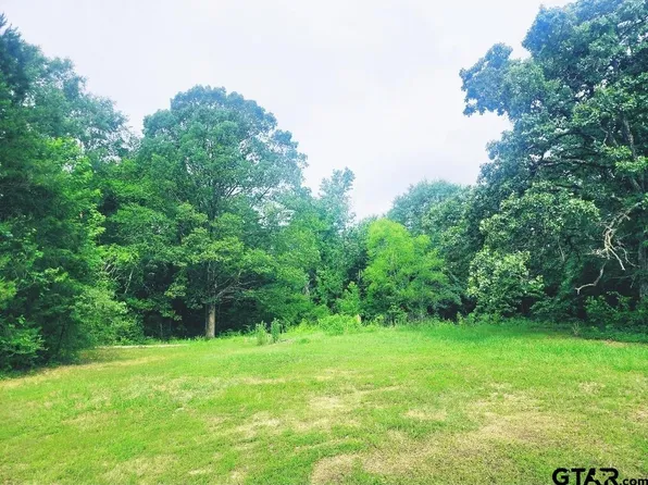 22473 Fm 2208, Harleton, TX 75651