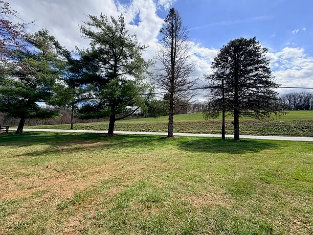 190 Bachmans Valley Rd — Photo 41