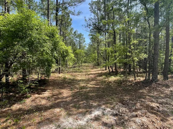 8 Lacers Way Way, Currie, NC 28435